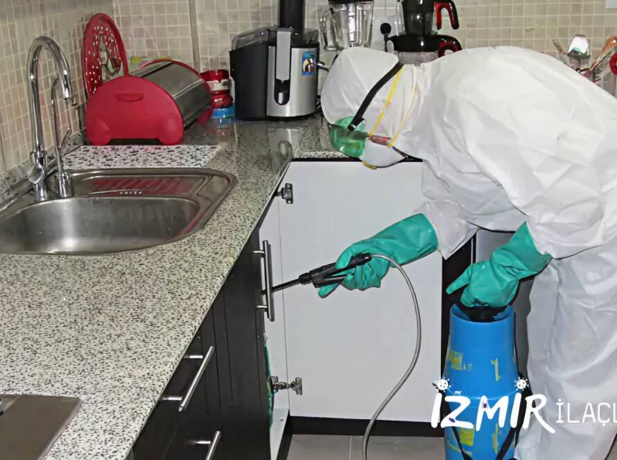 İzmir Ev İlaçlama