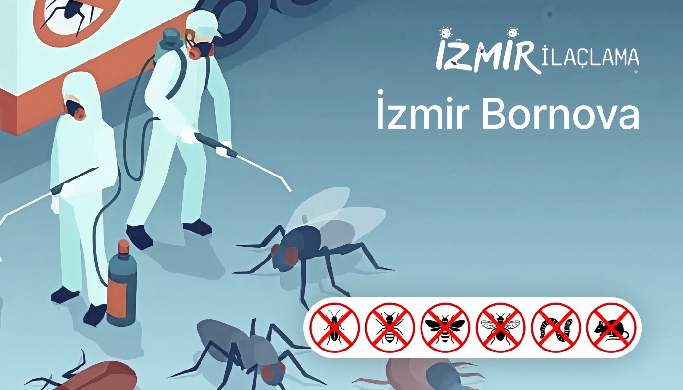 İzmir Bornova İlaçlama